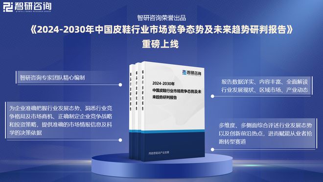 环境分析、市场供需态势及未来前景预测凯发k8网站登录皮鞋分析报告：发展(图3)