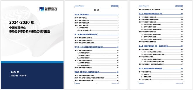 环境分析、市场供需态势及未来前景预测凯发k8网站登录皮鞋分析报告：发展(图6)