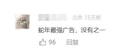 个狠年》堪称蛇年最强广告凯发K8旗舰厅耐克《过(图4)