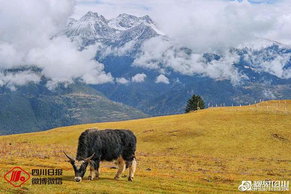 菇-咬小头头原版观看蘑菇最新凯发网址咬小头头原版观看蘑(图2)